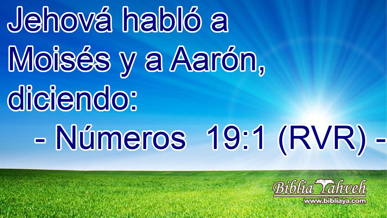 Jehová habló a Moisés y a Aarón, diciendo: