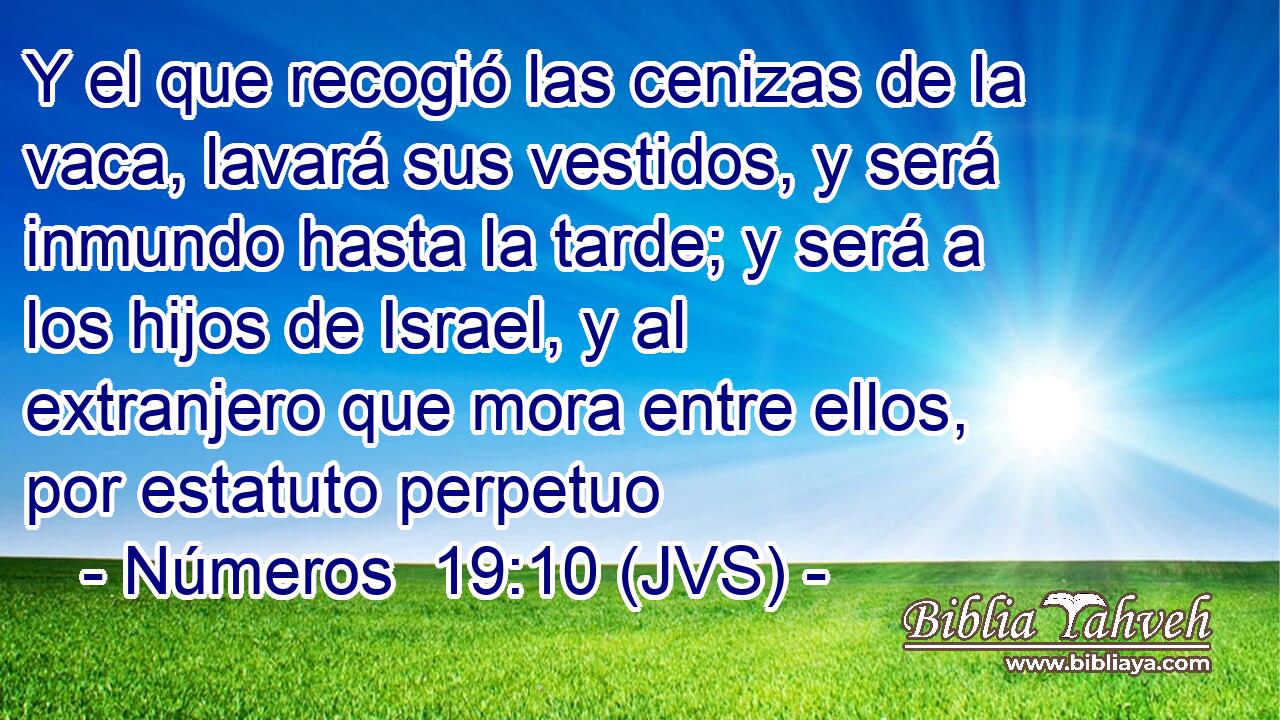 Y el que recogió las cenizas de la vaca, lavará sus vestidos, y será inmundo hasta la tarde; y será a los hijos de Israel, y al extranjero que mora entre ellos, por estatuto perpetuo