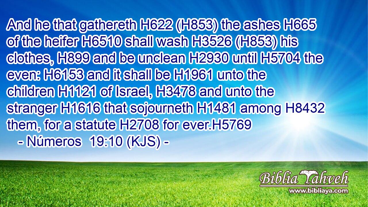 And he that gathereth H622 (H853) the ashes H665 of the heifer H6510 shall wash H3526 (H853) his clothes, H899 and be unclean H2930 until H5704 the even: H6153 and it shall be H1961 unto the children H1121 of Israel, H3478 and unto the stranger H1616 that sojourneth H1481 among H8432 them, for a statute H2708 for ever.H5769