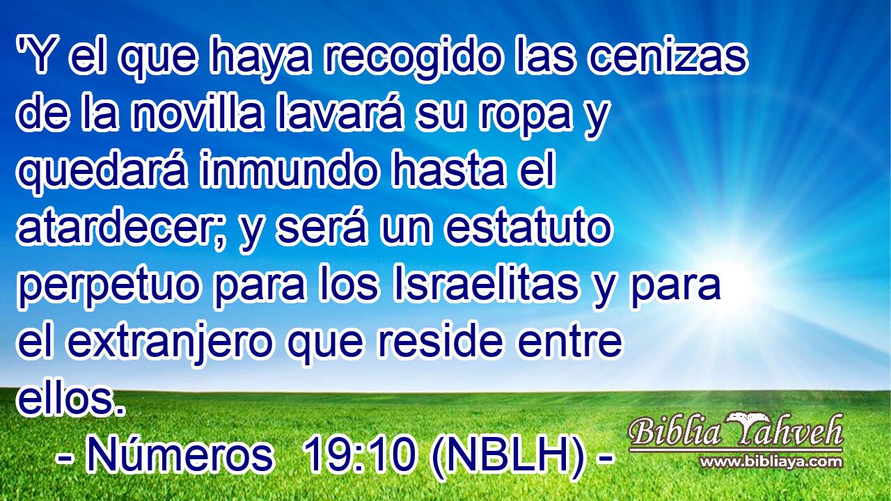  'Y el que haya recogido las cenizas de la novilla lavará su ropa y quedará inmundo hasta el atardecer; y será un estatuto perpetuo para los Israelitas y para el extranjero que reside entre ellos. 