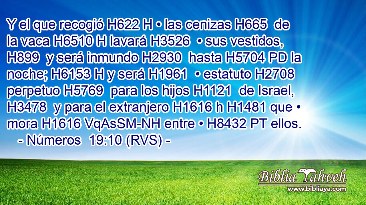 Y el que recogió H622 H • las cenizas H665  de la vaca H6510 H lavará H3526  • sus vestidos, H899  y será inmundo H2930  hasta H5704 PD la noche; H6153 H y será H1961  • estatuto H2708  perpetuo H5769  para los hijos H1121  de Israel, H3478  y para el extranjero H1616 h H1481 que • mora H1616 VqAsSM-NH entre • H8432 PT ellos. 