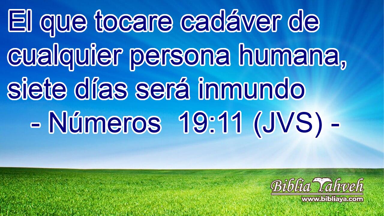 El que tocare cadáver de cualquier persona humana, siete días será inmundo