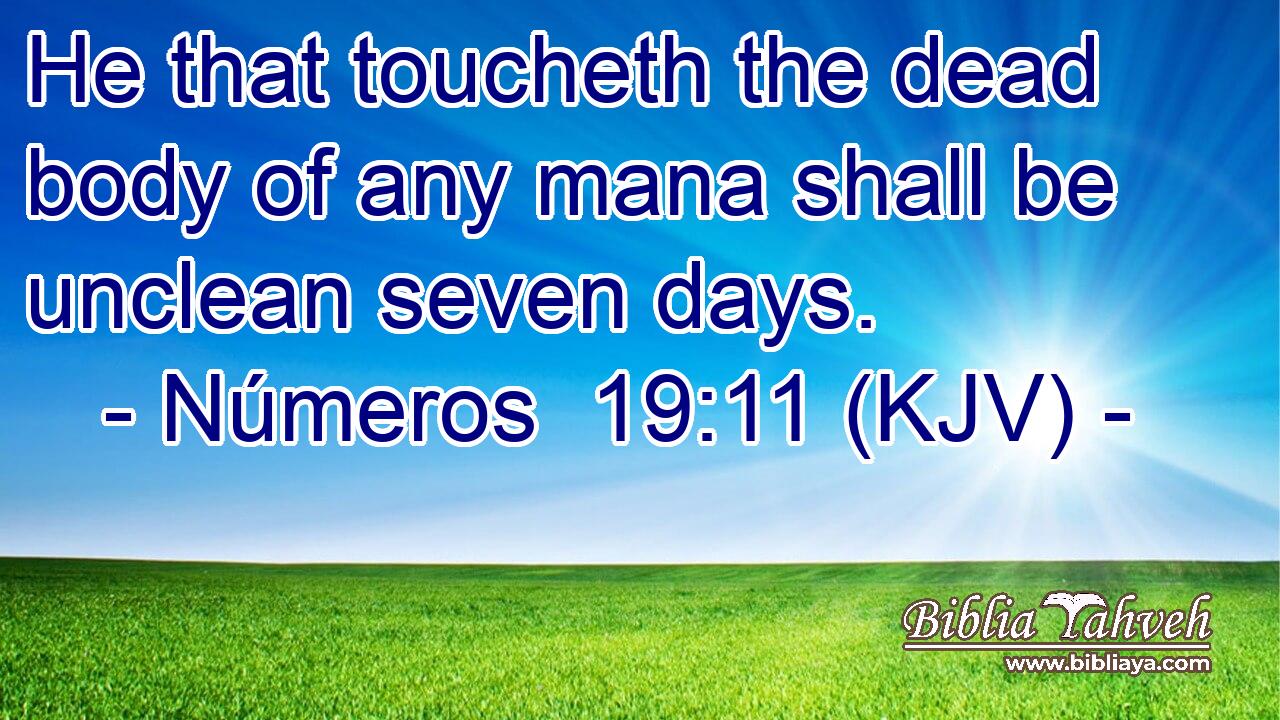 He that toucheth the dead body of any mana shall be unclean seven days.
