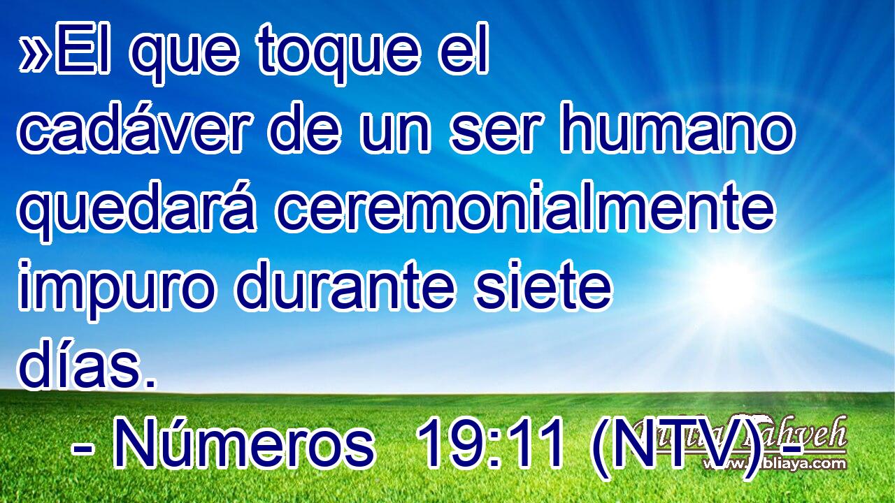 »El que toque el cadáver de un ser humano quedará ceremonialmente impuro durante siete días.