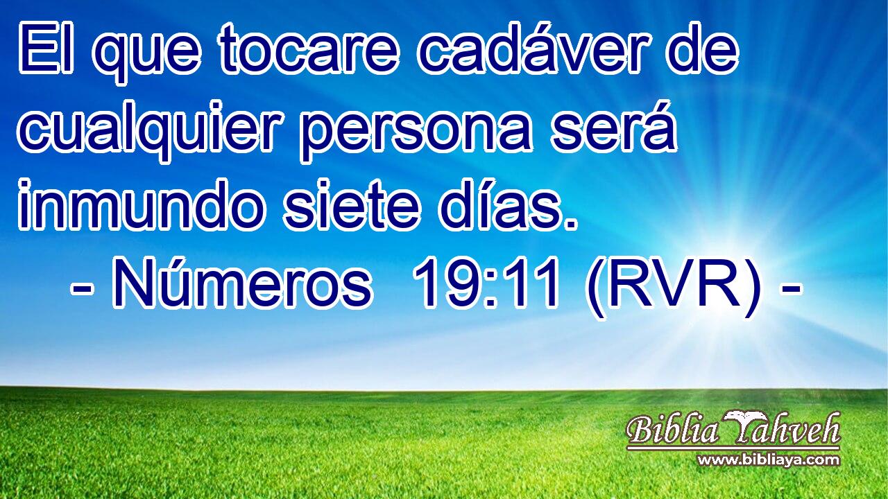 El que tocare cadáver de cualquier persona será inmundo siete días.