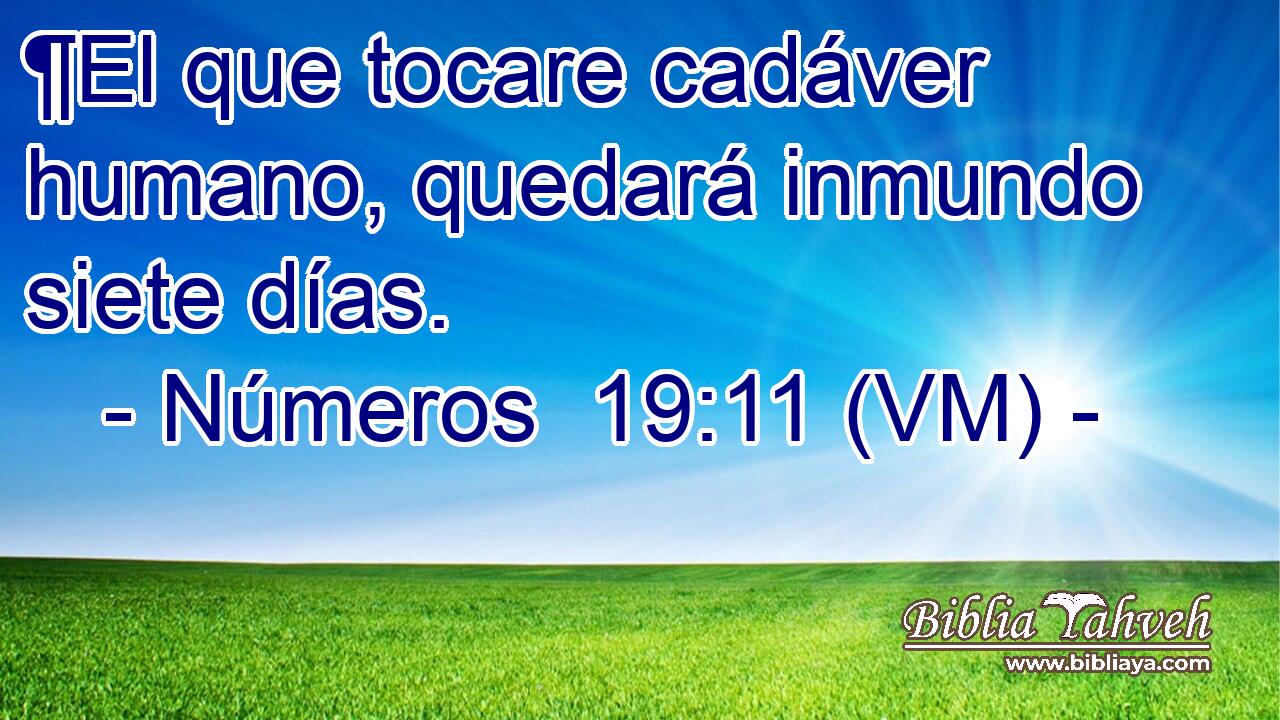  ¶El que tocare cadáver humano, quedará inmundo siete días. 