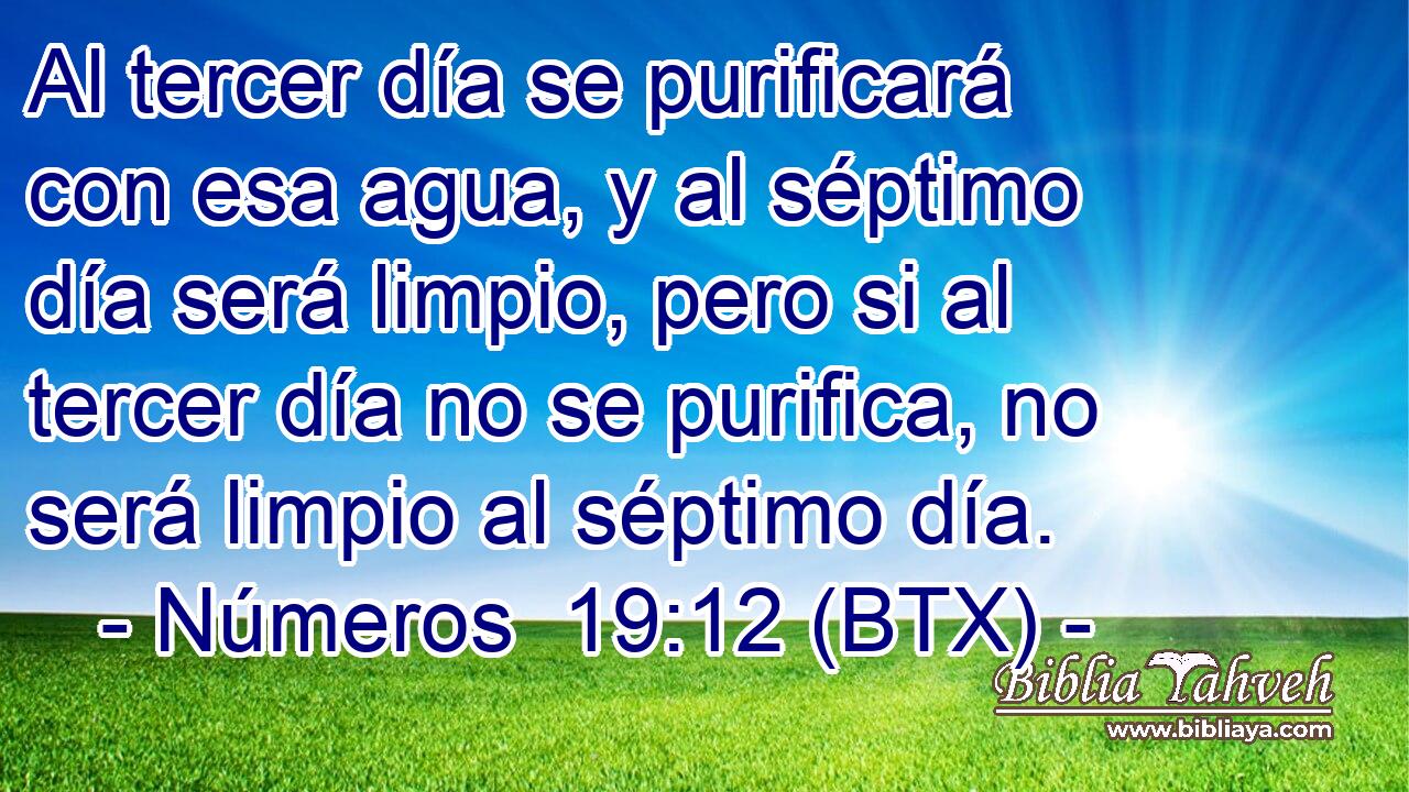 Al tercer día se purificará con esa agua, y al séptimo día será limpio, pero si al tercer día no se purifica, no será limpio al séptimo día.