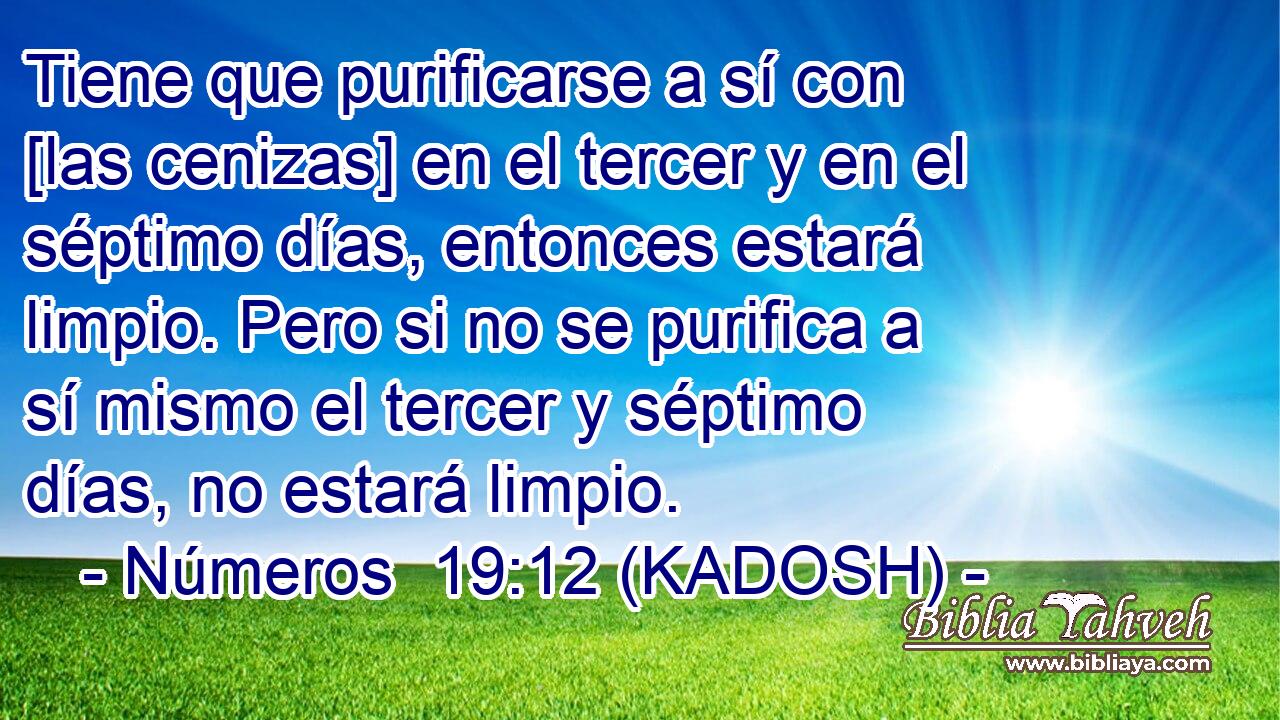  Tiene que purificarse a sí con [las cenizas] en el tercer y en el séptimo días, entonces estará limpio. Pero si no se purifica a sí mismo el tercer y séptimo días, no estará limpio. 