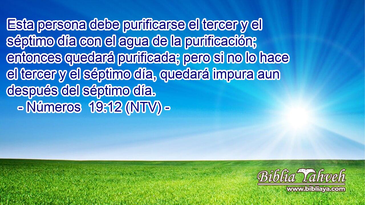 Esta persona debe purificarse el tercer y el séptimo día con el agua de la purificación; entonces quedará purificada; pero si no lo hace el tercer y el séptimo día, quedará impura aun después del séptimo día.