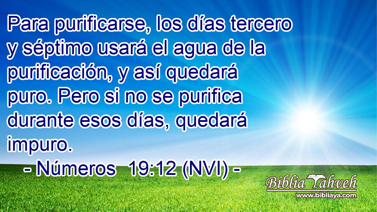  Para purificarse, los días tercero y séptimo usará el agua de la purificación, y así quedará puro. Pero si no se purifica durante esos días, quedará impuro. 