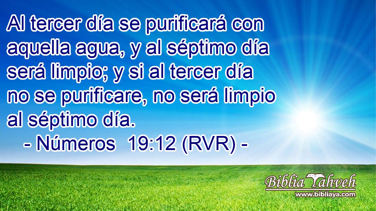 Al tercer día se purificará con aquella agua, y al séptimo día será limpio; y si al tercer día no se purificare, no será limpio al séptimo día.