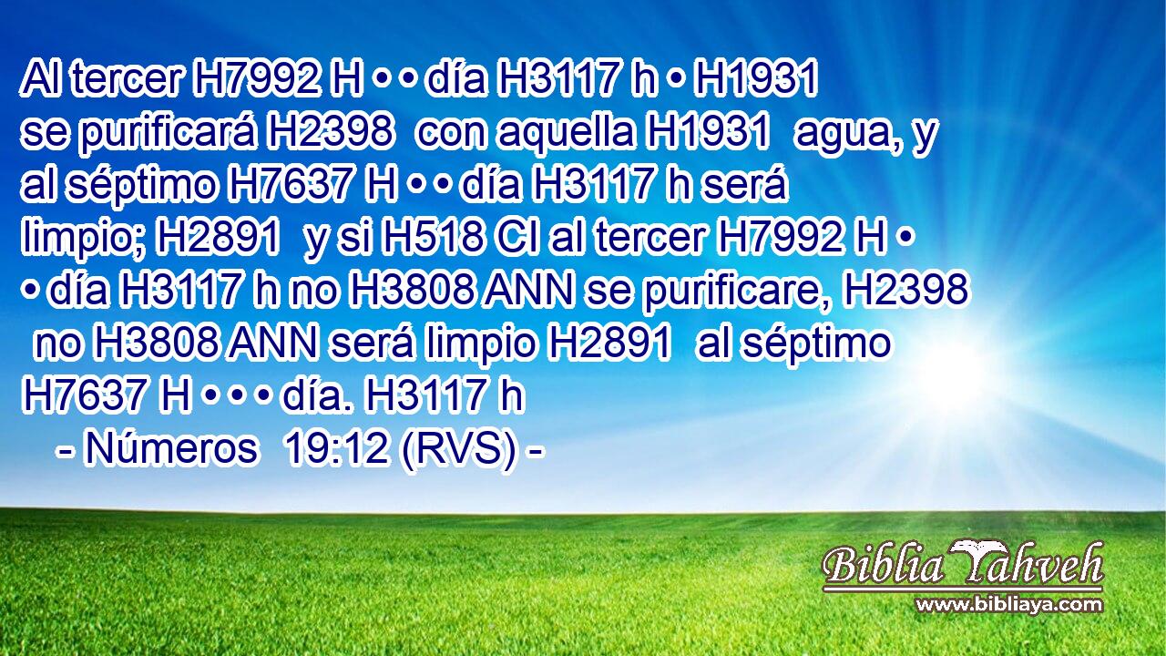 Al tercer H7992 H • • día H3117 h • H1931  se purificará H2398  con aquella H1931  agua, y al séptimo H7637 H • • día H3117 h será limpio; H2891  y si H518 CI al tercer H7992 H • • día H3117 h no H3808 ANN se purificare, H2398  no H3808 ANN será limpio H2891  al séptimo H7637 H • • • día. H3117 h 