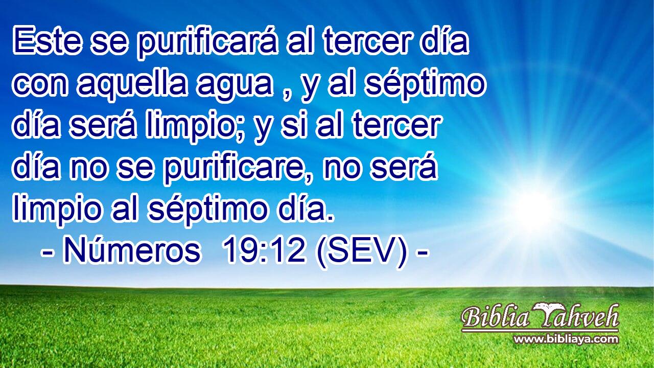 Este se purificará al tercer día con aquella agua , y al séptimo día será limpio; y si al tercer día no se purificare, no será limpio al séptimo día.