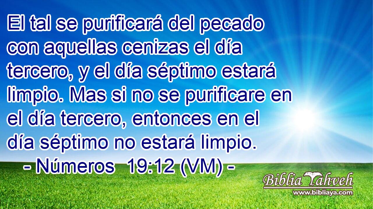  El tal se purificará del pecado con aquellas cenizas el día tercero, y el día séptimo estará limpio. Mas si no se purificare en el día tercero, entonces en el día séptimo no estará limpio. 