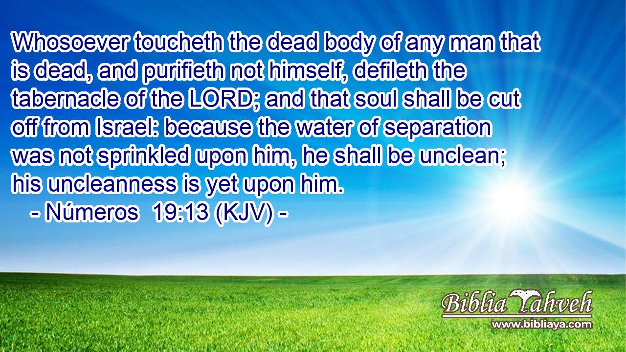 Whosoever toucheth the dead body of any man that is dead, and purifieth not himself, defileth the tabernacle of the LORD; and that soul shall be cut off from Israel: because the water of separation was not sprinkled upon him, he shall be unclean; his uncleanness is yet upon him.
