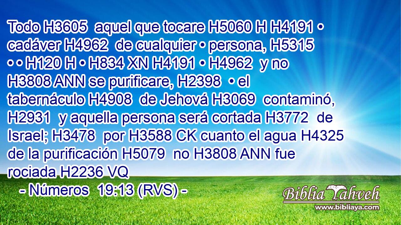 Todo H3605  aquel que tocare H5060 H H4191 • cadáver H4962  de cualquier • persona, H5315  • • H120 H • H834 XN H4191 • H4962  y no H3808 ANN se purificare, H2398  • el tabernáculo H4908  de Jehová H3069  contaminó, H2931  y aquella persona será cortada H3772  de Israel; H3478  por H3588 CK cuanto el agua H4325  de la purificación H5079  no H3808 ANN fue rociada H2236 VQ