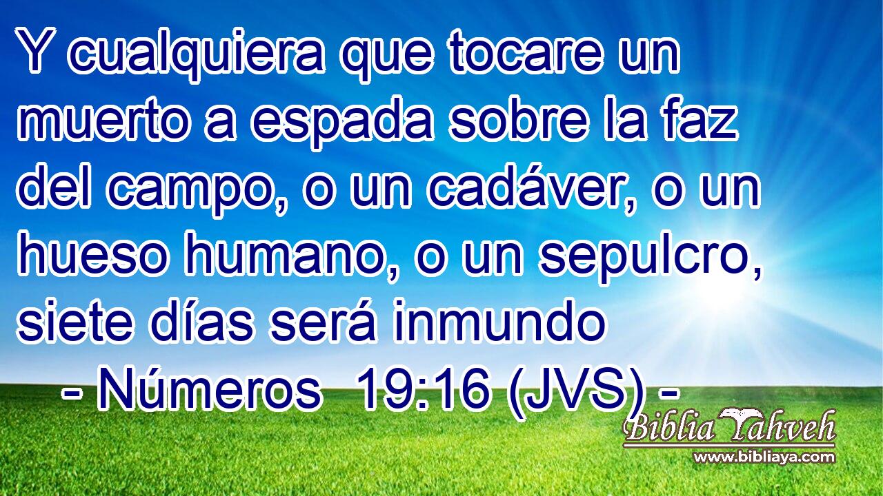 Y cualquiera que tocare un muerto a espada sobre la faz del campo, o un cadáver, o un hueso humano, o un sepulcro, siete días será inmundo