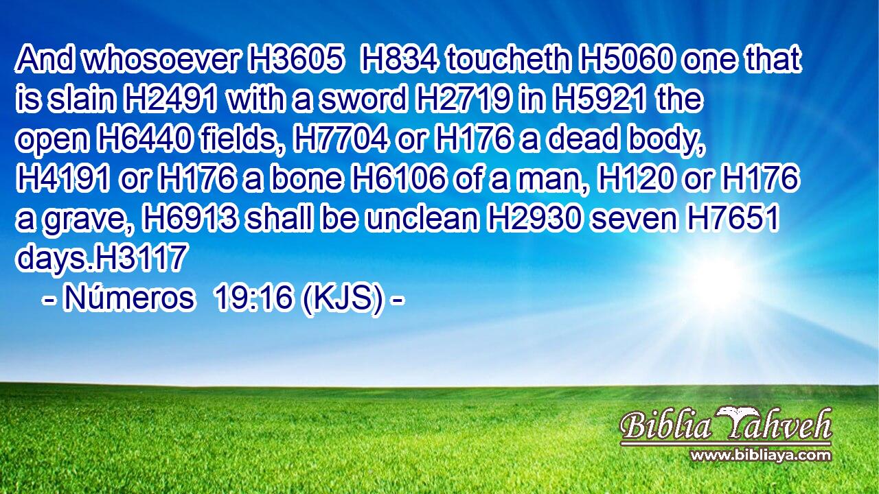 And whosoever H3605  H834 toucheth H5060 one that is slain H2491 with a sword H2719 in H5921 the open H6440 fields, H7704 or H176 a dead body, H4191 or H176 a bone H6106 of a man, H120 or H176 a grave, H6913 shall be unclean H2930 seven H7651 days.H3117