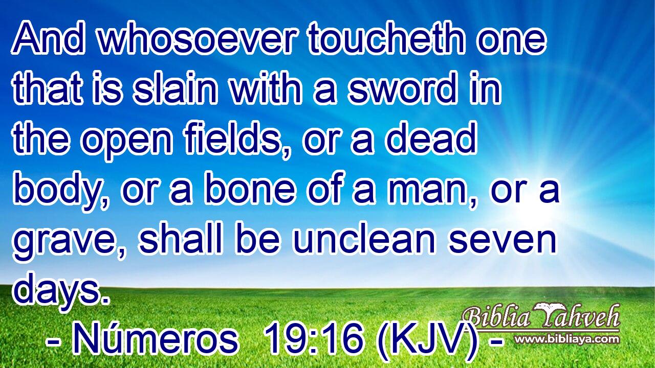 And whosoever toucheth one that is slain with a sword in the open fields, or a dead body, or a bone of a man, or a grave, shall be unclean seven days.