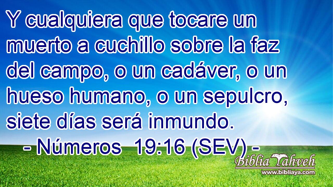 Y cualquiera que tocare un muerto a cuchillo sobre la faz del campo, o un cadáver, o un hueso humano, o un sepulcro, siete días será inmundo.