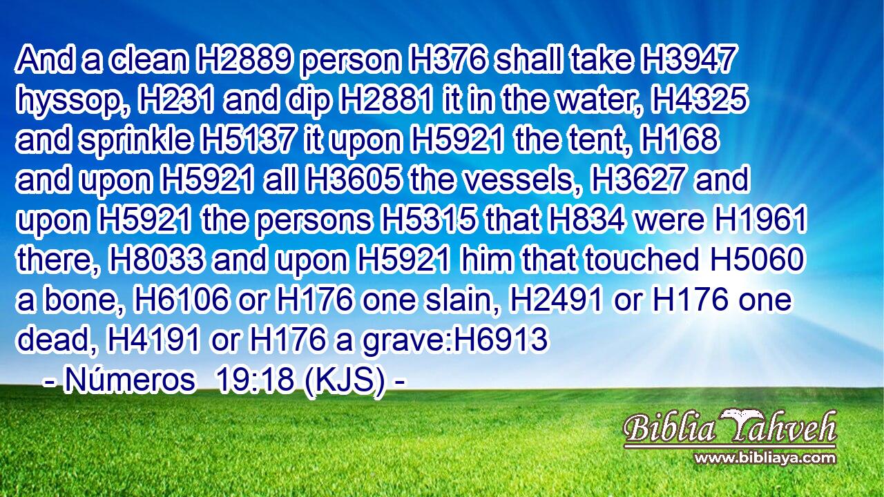 And a clean H2889 person H376 shall take H3947 hyssop, H231 and dip H2881 it in the water, H4325 and sprinkle H5137 it upon H5921 the tent, H168 and upon H5921 all H3605 the vessels, H3627 and upon H5921 the persons H5315 that H834 were H1961 there, H8033 and upon H5921 him that touched H5060 a bone, H6106 or H176 one slain, H2491 or H176 one dead, H4191 or H176 a grave:H6913