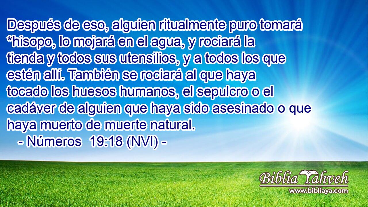  Después de eso, alguien ritualmente puro tomará *hisopo, lo mojará en el agua, y rociará la tienda y todos sus utensilios, y a todos los que estén allí. También se rociará al que haya tocado los huesos humanos, el sepulcro o el cadáver de alguien que haya sido asesinado o que haya muerto de muerte natural. 