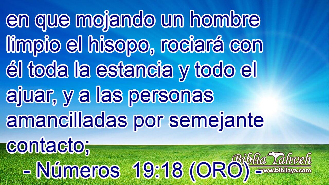  en que mojando un hombre limpio el hisopo, rociará con él toda la estancia y todo el ajuar, y a las personas amancilladas por semejante contacto; 
