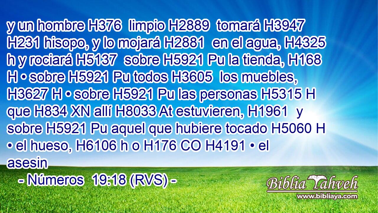 y un hombre H376  limpio H2889  tomará H3947  H231 hisopo, y lo mojará H2881  en el agua, H4325 h y rociará H5137  sobre H5921 Pu la tienda, H168 H • sobre H5921 Pu todos H3605  los muebles, H3627 H • sobre H5921 Pu las personas H5315 H que H834 XN allí H8033 At estuvieren, H1961  y sobre H5921 Pu aquel que hubiere tocado H5060 H • el hueso, H6106 h o H176 CO H4191 • el asesin