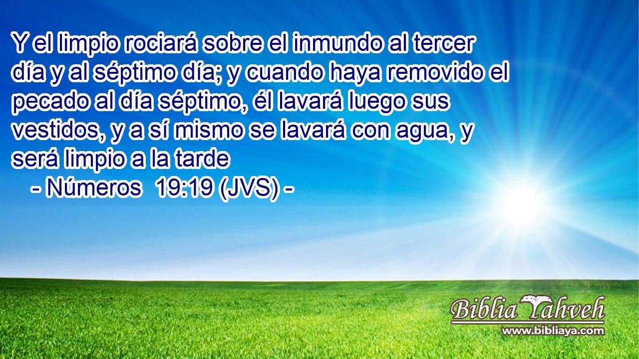 Y el limpio rociará sobre el inmundo al tercer día y al séptimo día; y cuando haya removido el pecado al día séptimo, él lavará luego sus vestidos, y a sí mismo se lavará con agua, y será limpio a la tarde