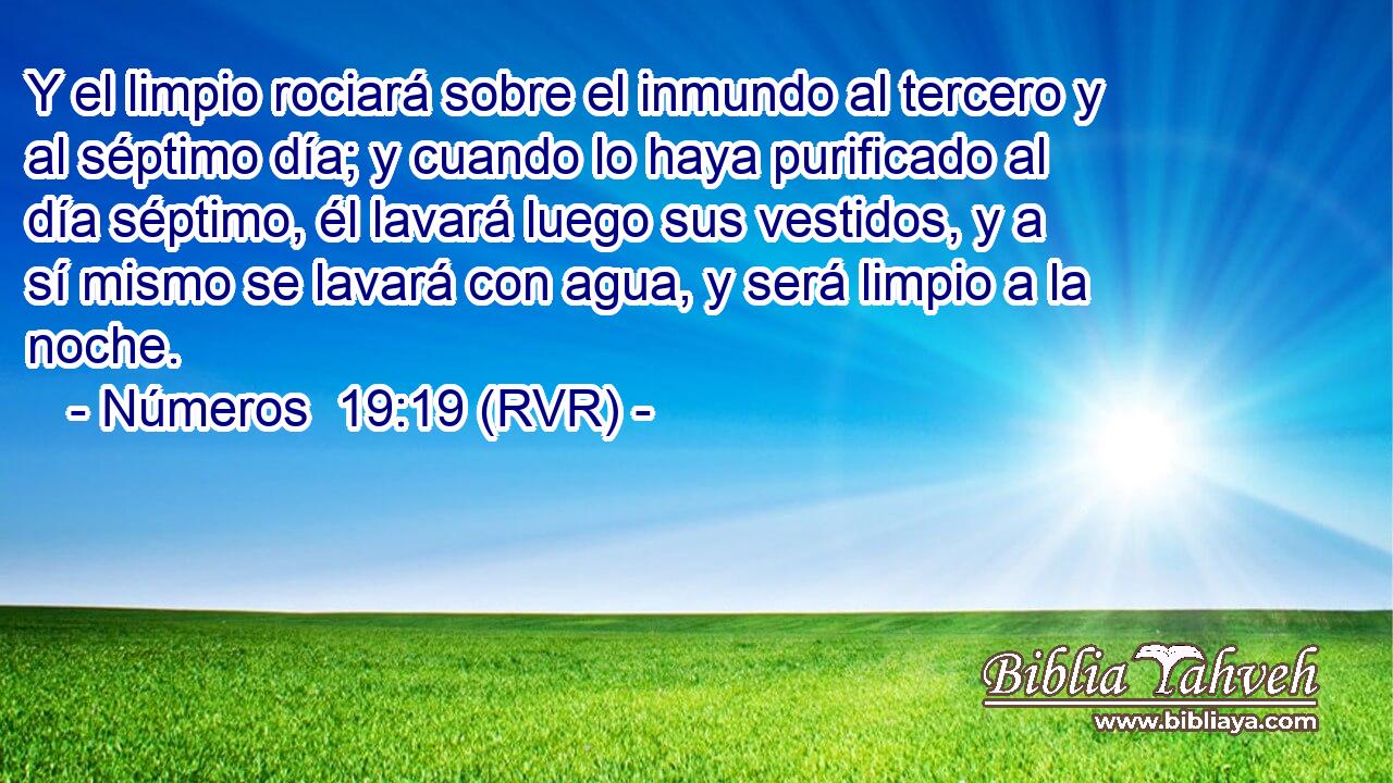 Y el limpio rociará sobre el inmundo al tercero y al séptimo día; y cuando lo haya purificado al día séptimo, él lavará luego sus vestidos, y a sí mismo se lavará con agua, y será limpio a la noche.
