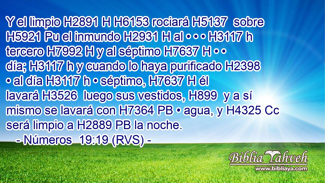 Y el limpio H2891 H H6153 rociará H5137  sobre H5921 Pu el inmundo H2931 H al • • • H3117 h tercero H7992 H y al séptimo H7637 H • • día; H3117 h y cuando lo haya purificado H2398  • al día H3117 h • séptimo, H7637 H él lavará H3526  luego sus vestidos, H899  y a sí mismo se lavará con H7364 PB • agua, y H4325 Cc será limpio a H2889 PB la noche. 