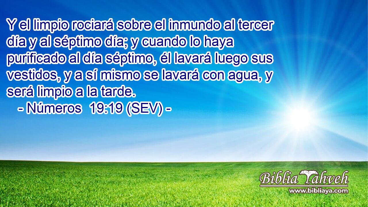 Y el limpio rociará sobre el inmundo al tercer día y al séptimo día; y cuando lo haya purificado al día séptimo, él lavará luego sus vestidos, y a sí mismo se lavará con agua, y será limpio a la tarde.