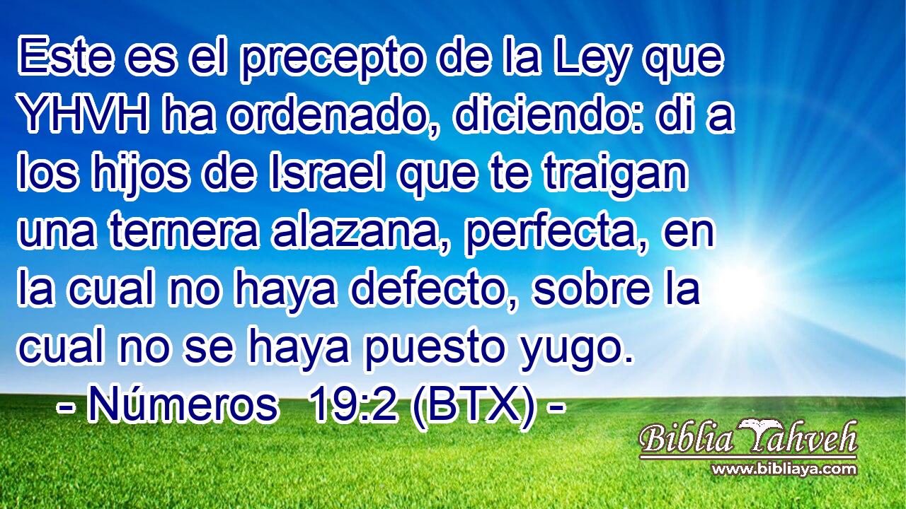 Este es el precepto de la Ley que YHVH ha ordenado, diciendo: di a los hijos de Israel que te traigan una ternera alazana, perfecta, en la cual no haya defecto, sobre la cual no se haya puesto yugo.