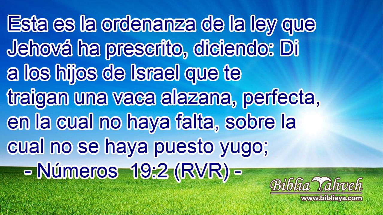 Esta es la ordenanza de la ley que Jehová ha prescrito, diciendo: Di a los hijos de Israel que te traigan una vaca alazana, perfecta, en la cual no haya falta, sobre la cual no se haya puesto yugo;