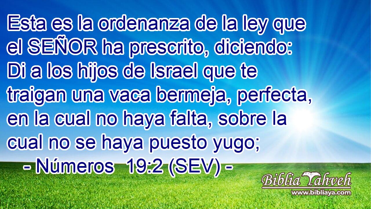 Esta es la ordenanza de la ley que el SEÑOR ha prescrito, diciendo: Di a los hijos de Israel que te traigan una vaca bermeja, perfecta, en la cual no haya falta, sobre la cual no se haya puesto yugo;