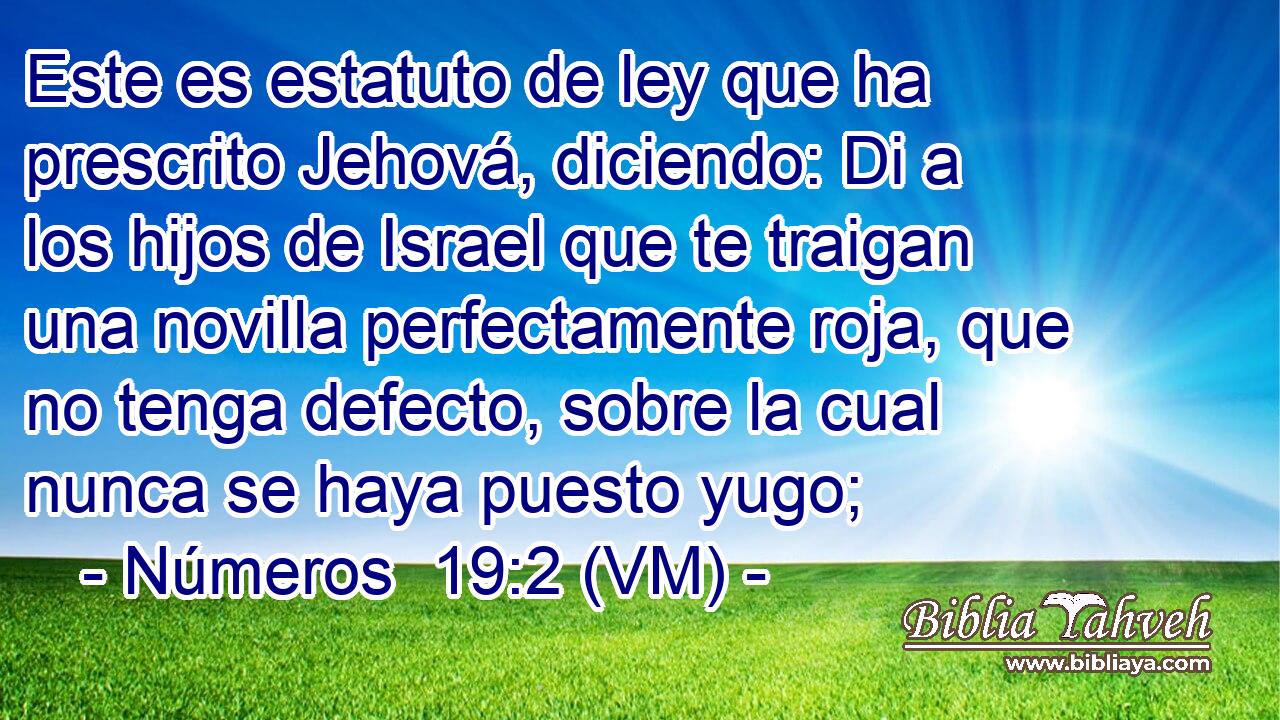  Este es estatuto de ley que ha prescrito Jehová, diciendo: Di a los hijos de Israel que te traigan una novilla perfectamente roja, que no tenga defecto, sobre la cual nunca se haya puesto yugo; 
