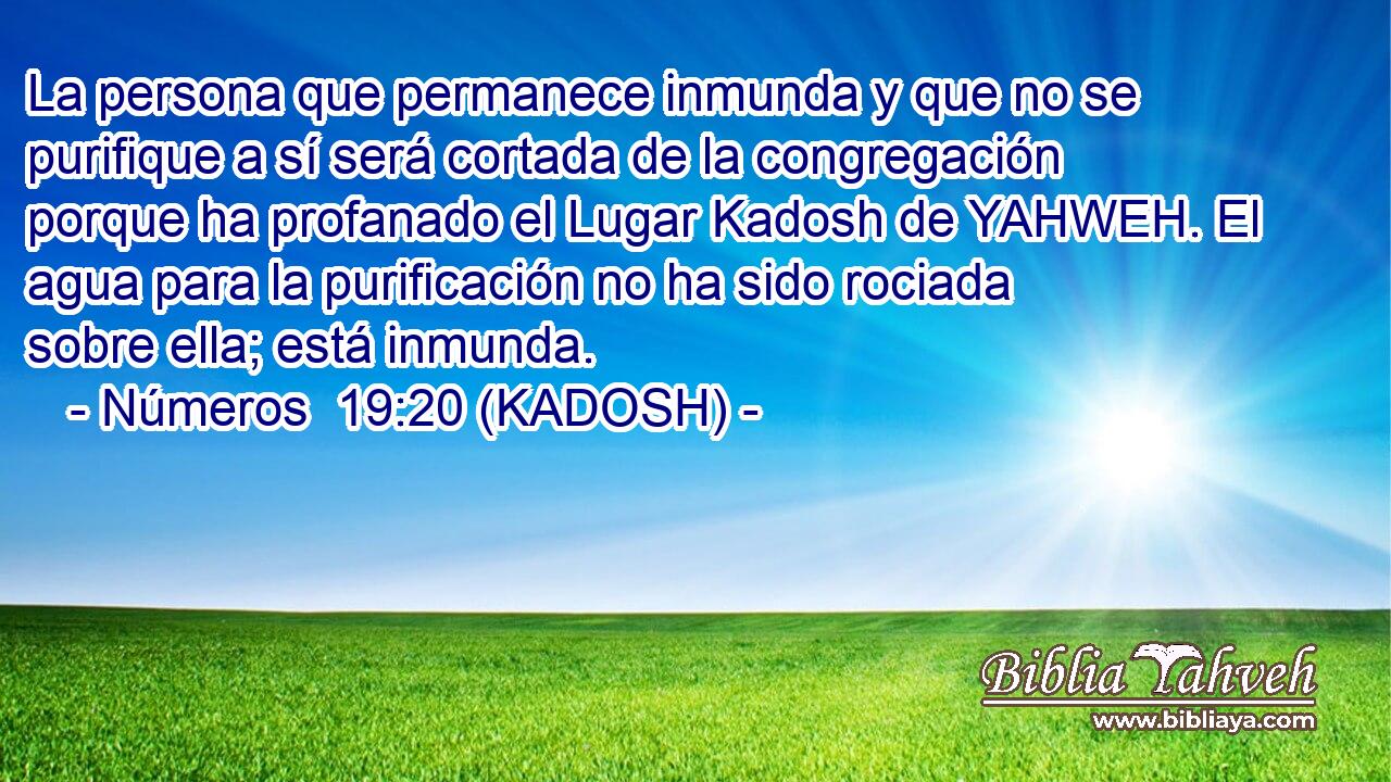  La persona que permanece inmunda y que no se purifique a sí será cortada de la congregación porque ha profanado el Lugar Kadosh de YAHWEH. El agua para la purificación no ha sido rociada sobre ella; está inmunda. 
