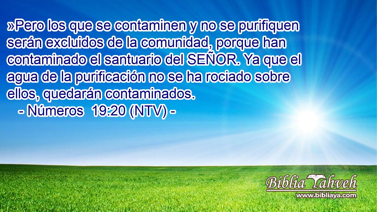 »Pero los que se contaminen y no se purifiquen serán excluidos de la comunidad, porque han contaminado el santuario del SEÑOR. Ya que el agua de la purificación no se ha rociado sobre ellos, quedarán contaminados.
