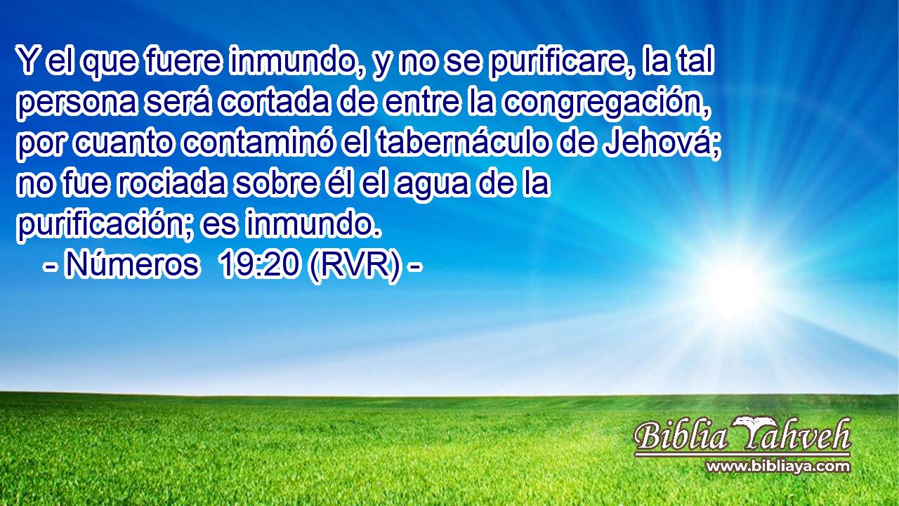 Y el que fuere inmundo, y no se purificare, la tal persona será cortada de entre la congregación, por cuanto contaminó el tabernáculo de Jehová; no fue rociada sobre él el agua de la purificación; es inmundo.
