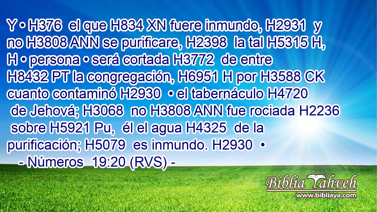 Y • H376  el que H834 XN fuere inmundo, H2931  y no H3808 ANN se purificare, H2398  la tal H5315 H, H • persona • será cortada H3772  de entre H8432 PT la congregación, H6951 H por H3588 CK cuanto contaminó H2930  • el tabernáculo H4720  de Jehová; H3068  no H3808 ANN fue rociada H2236  sobre H5921 Pu,  él el agua H4325  de la purificación; H5079  es inmundo. H2930  • 