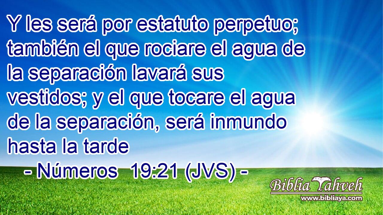 Y les será por estatuto perpetuo; también el que rociare el agua de la separación lavará sus vestidos; y el que tocare el agua de la separación, será inmundo hasta la tarde