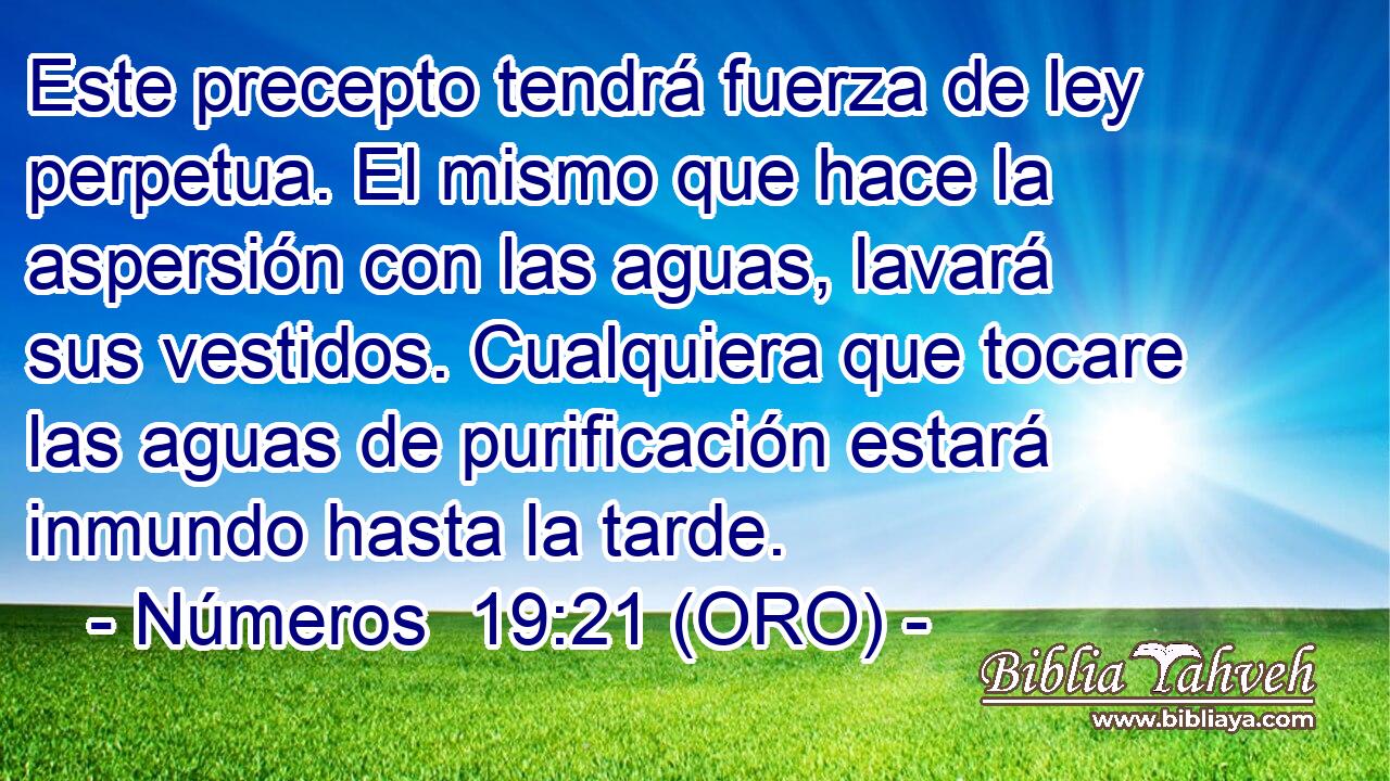  Este precepto tendrá fuerza de ley perpetua. El mismo que hace la aspersión con las aguas, lavará sus vestidos. Cualquiera que tocare las aguas de purificación estará inmundo hasta la tarde. 