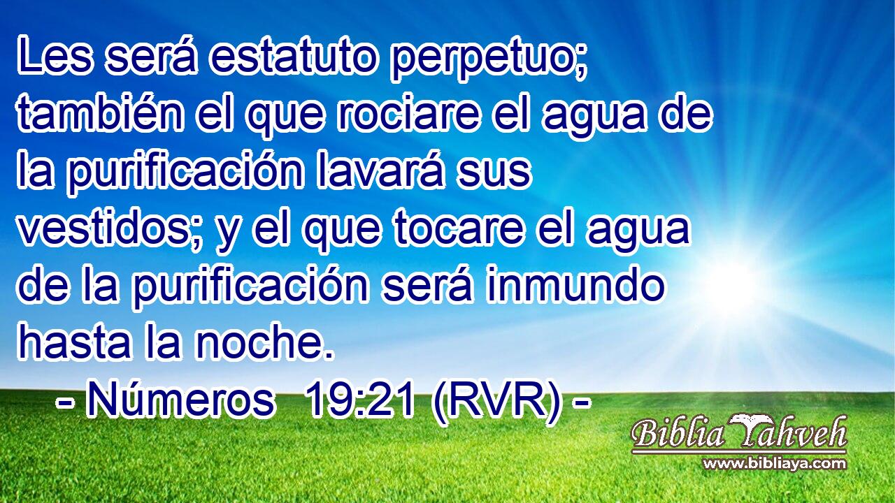 Les será estatuto perpetuo; también el que rociare el agua de la purificación lavará sus vestidos; y el que tocare el agua de la purificación será inmundo hasta la noche.