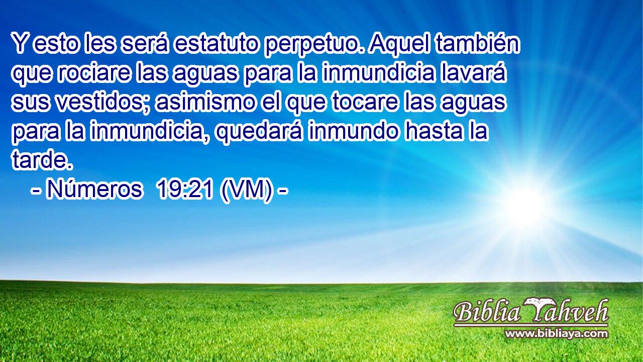 Y esto les será estatuto perpetuo. Aquel también que rociare las aguas para la inmundicia lavará sus vestidos; asimismo el que tocare las aguas para la inmundicia, quedará inmundo hasta la tarde. 