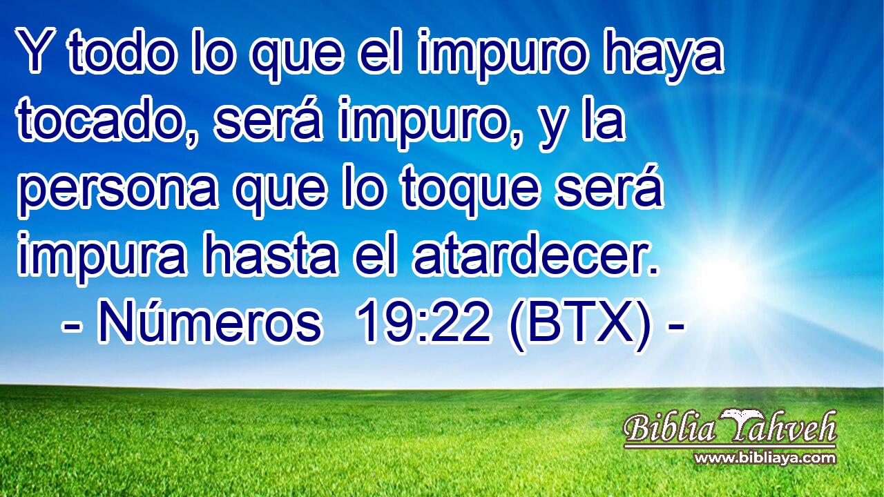 Y todo lo que el impuro haya tocado, será impuro, y la persona que lo toque será impura hasta el atardecer.