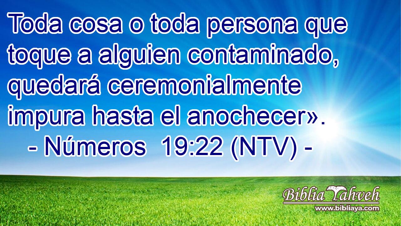 Toda cosa o toda persona que toque a alguien contaminado, quedará ceremonialmente impura hasta el anochecer».
