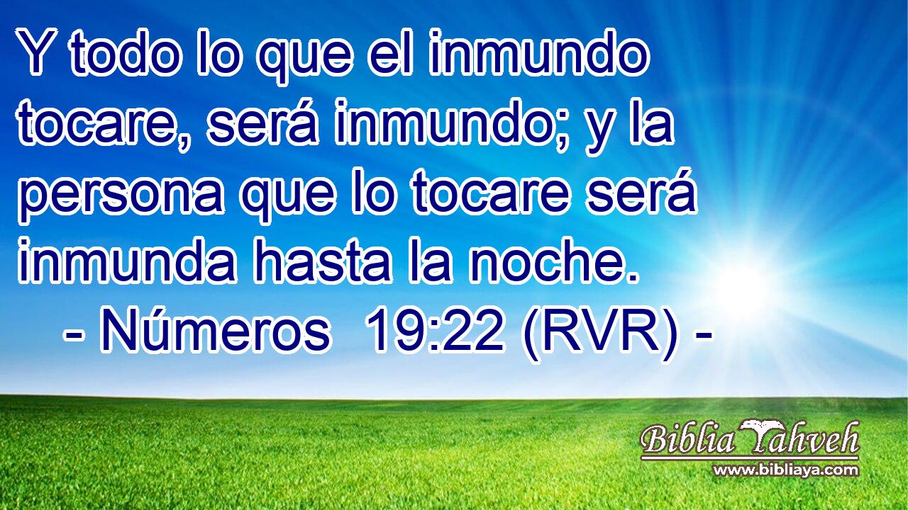 Y todo lo que el inmundo tocare, será inmundo; y la persona que lo tocare será inmunda hasta la noche.