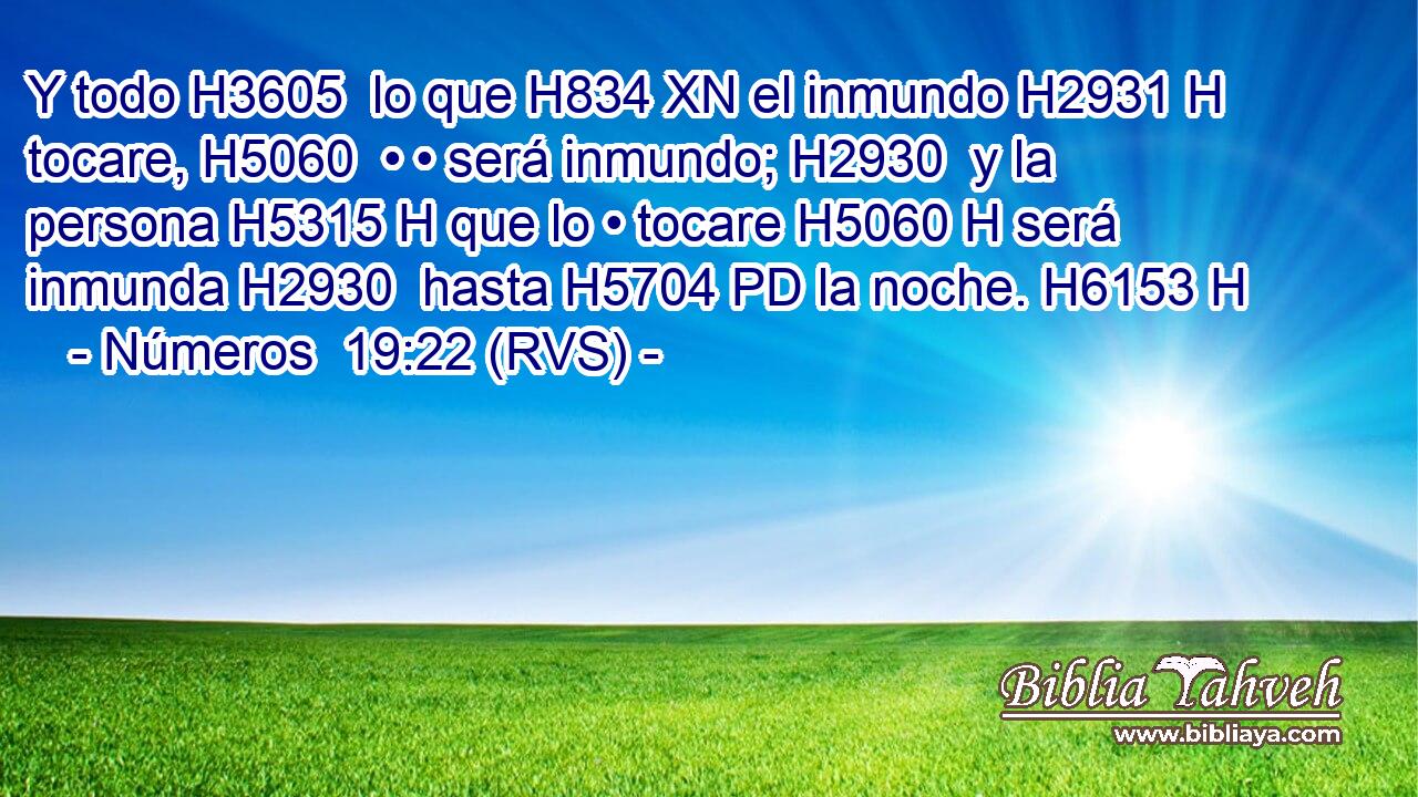 Y todo H3605  lo que H834 XN el inmundo H2931 H tocare, H5060  • • será inmundo; H2930  y la persona H5315 H que lo • tocare H5060 H será inmunda H2930  hasta H5704 PD la noche. H6153 H 