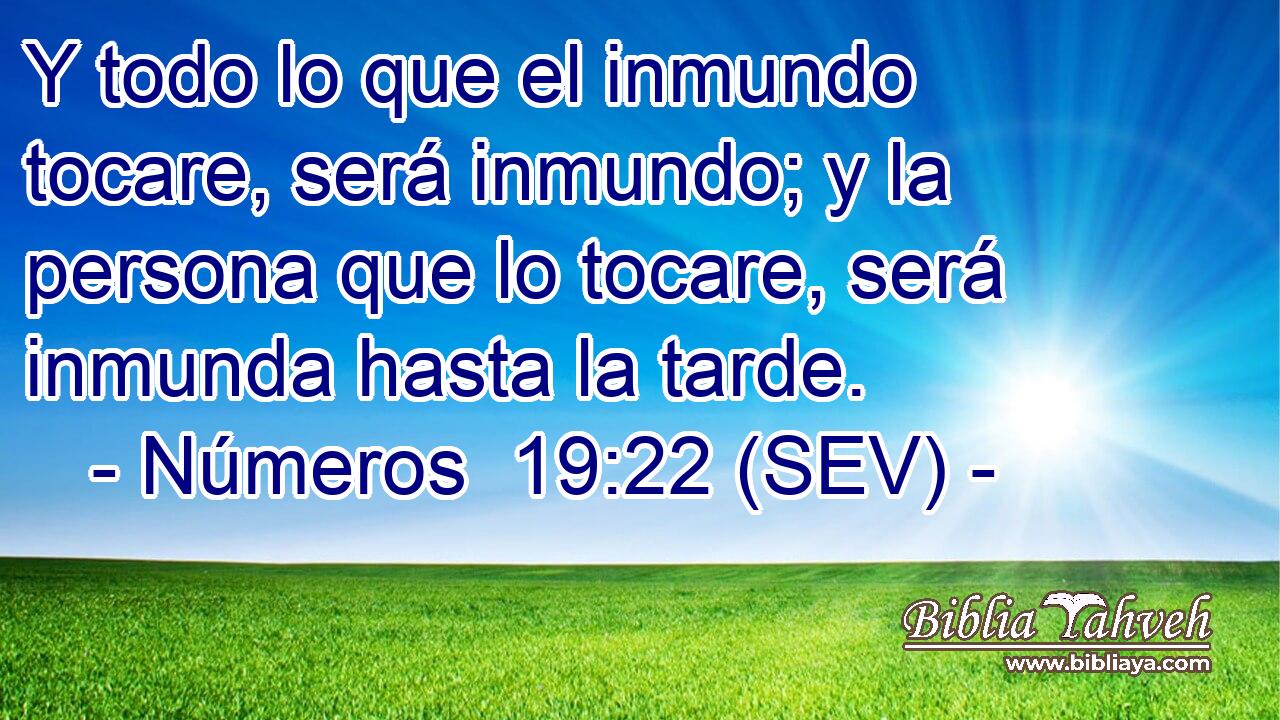 Y todo lo que el inmundo tocare, será inmundo; y la persona que lo tocare, será inmunda hasta la tarde.