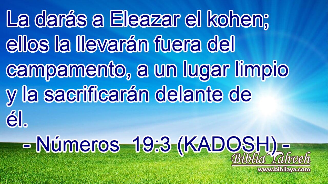  La darás a Eleazar el kohen; ellos la llevarán fuera del campamento, a un lugar limpio y la sacrificarán delante de él. 